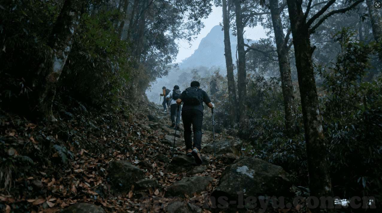 威尼斯抢庄牛牛-威尼斯抢庄牛牛，一场古老游戏与现代文化的碰撞